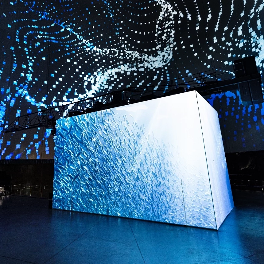  Many small fish swimming around and an abstract animation made of squares can be seen at the immersive exhibition in the Visiodrom.