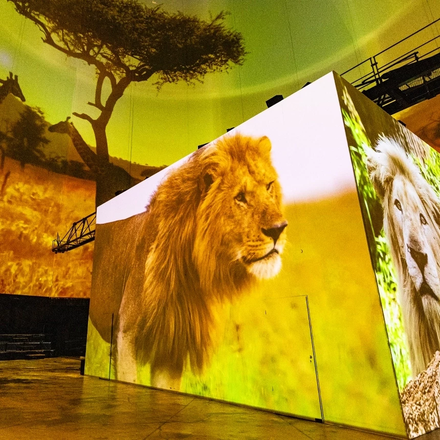 In the immersive installation in the Visiodrom, lions and giraffes in the savannah can be seen on the projection cube and the interior walls.