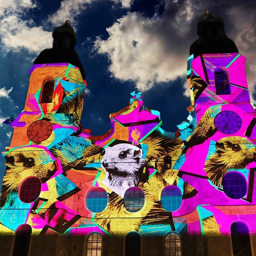 The facade of Innsbruck Cathedral appears as a screen for a projection show: abstract structures in pink and orange and the meerkat, which is native to the Alpine region, can be seen