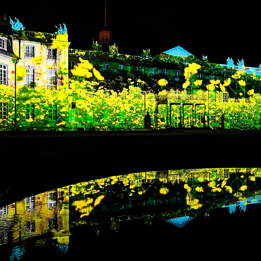 A yellow flower meadow is projected onto the facade of the Karlsruhe Palace