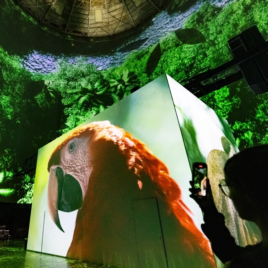 Jungle treetops and tropical birds can be admired on the projection cube and as a panoramic projection on the walls of the Visiodrom.