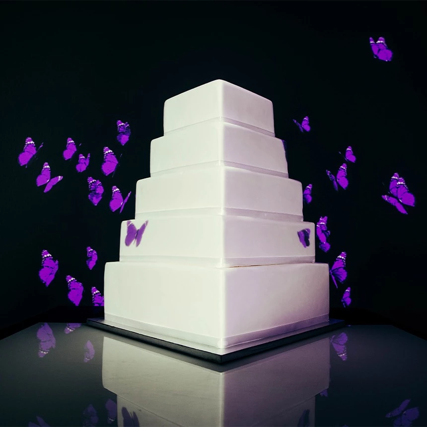 Cake Mapping auf eine Hochzeitstorte mit Schmetterlingen