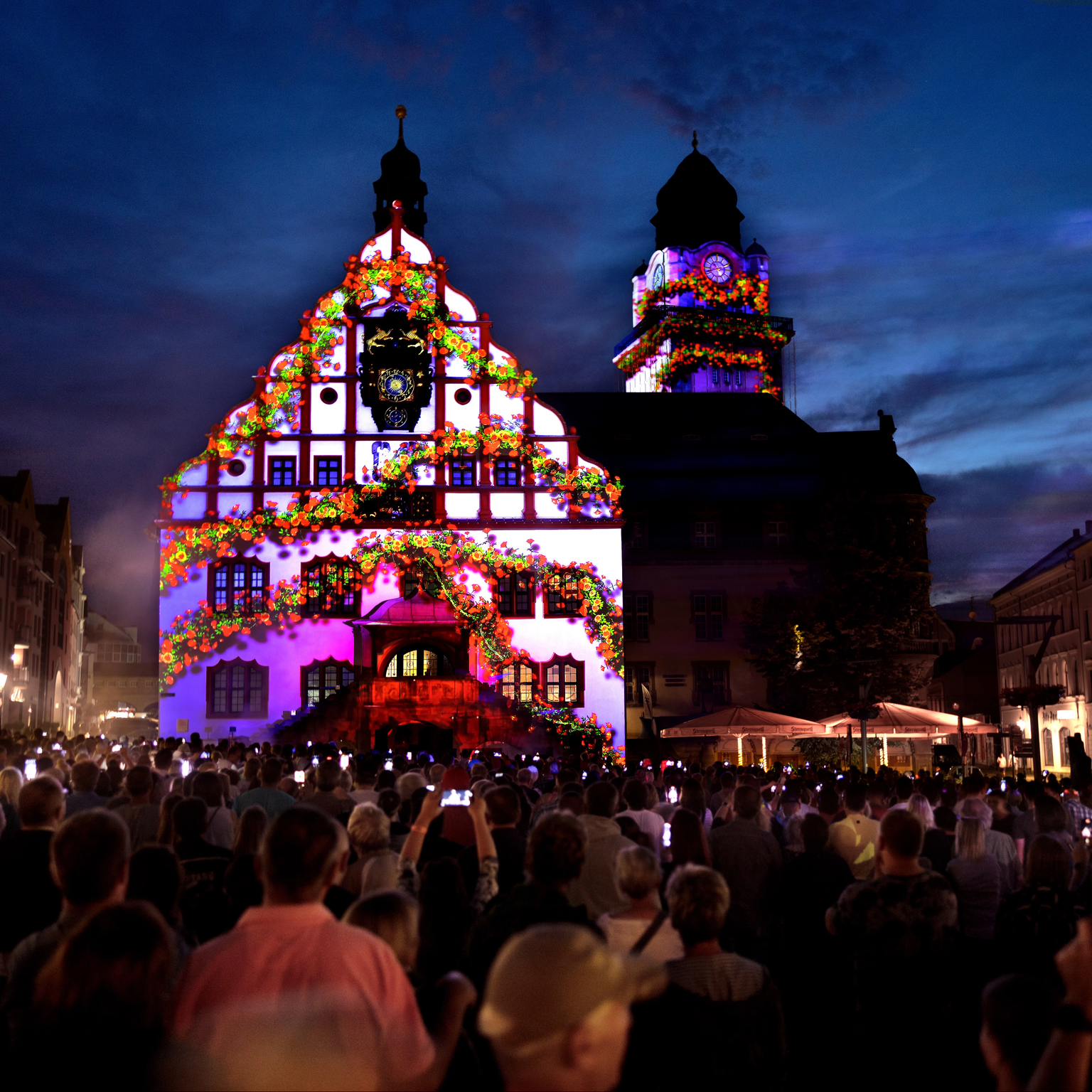 To mark the city's anniversary, virtual rose tendrils grow on the facade of the historic town hall in Plauen in a video installation